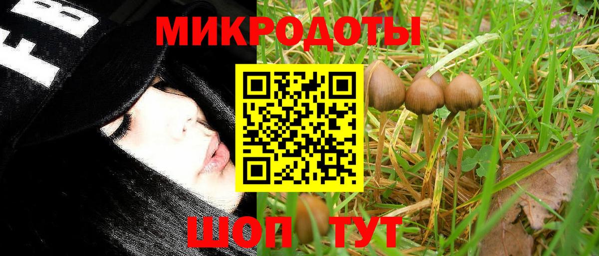 Родники  Псилоцибиновые грибы Cubensis  Псилоцибиновые грибы мухоморы  Вход с VPN 